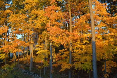 10-20-12_208.jpg