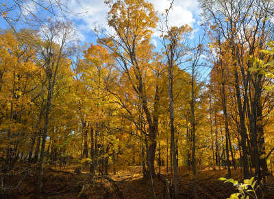 10-21-12_036.jpg