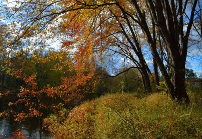 10-21-12_038.jpg