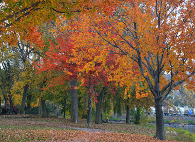 10-27-12_060.jpg