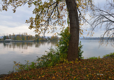 10-27-12_042.jpg