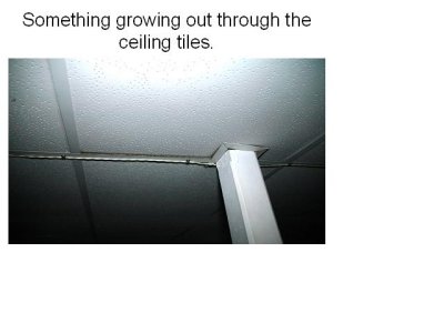 In the ceiling
