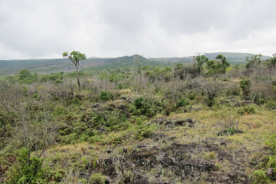 Mt. Karthala, Grande Comore