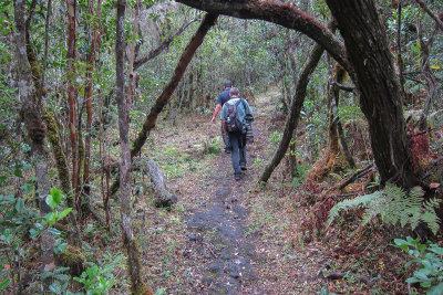 Rob and Jonathan walking up Mt. Karthala