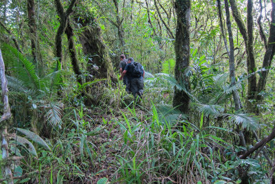 The trail to Chlet St. Antoine, Mohli