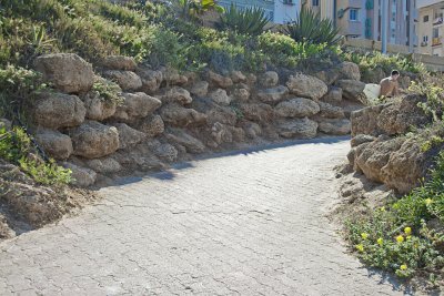 _MG_9309.jpg