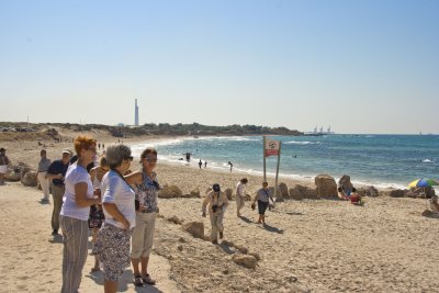 _MG_9329.jpg
