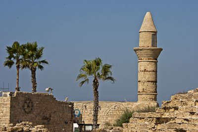 _MG_9367.jpg