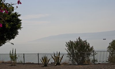 _MG_9483.jpg