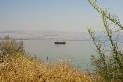 _MG_9495.jpg
