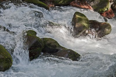 _MG_9623.jpg