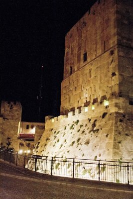 _MG_9745.jpg