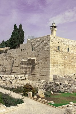 _MG_9861.jpg