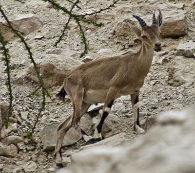 _MG_0260.jpg