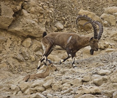 _MG_0287.jpg