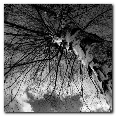 2013 02 15.jpg