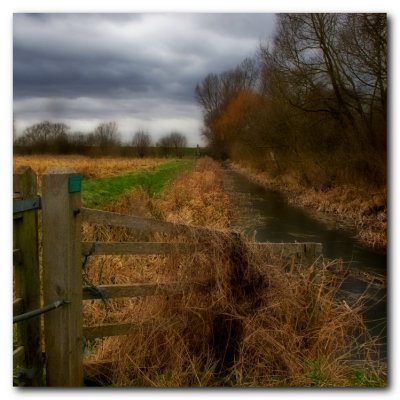 IMG_0061 ORTON 2 WEB.jpg