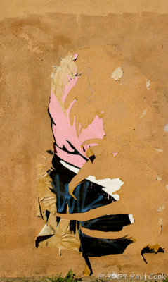 Torn poster
