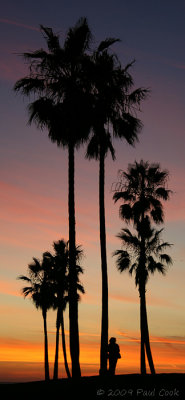 Venice Beach sunset