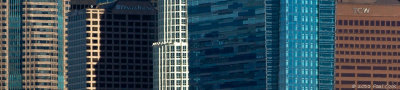 Downtown L.A. 1/11