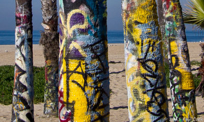 Venice Beach, 1/11