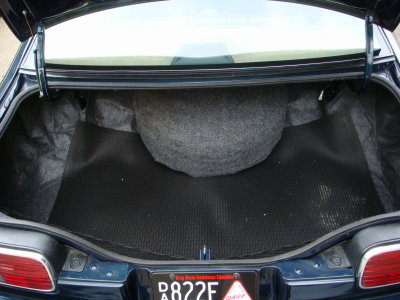 Trunk