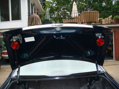 Trunk Lights