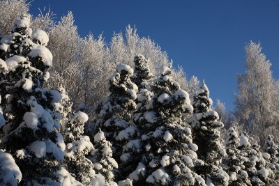 CoastalTrail_20Jan2012_ 005 [800x533].JPG