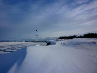 p-CoastalTrail_Snow_04Feb2012_ 006 [800x600].JPG