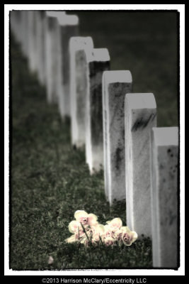 stones_river_cemetery