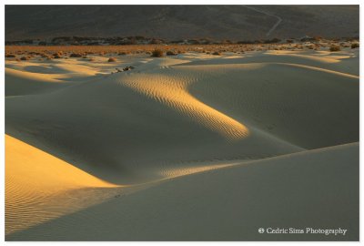   Mesquite Dunes