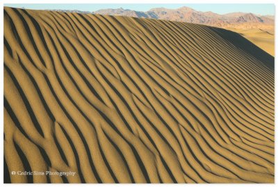  Mesquite Dunes