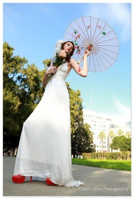 California State Capitol Photo Shoot  (Glam the Dress)