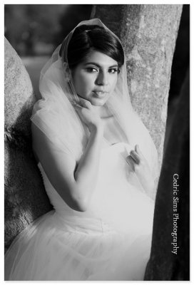   State Capitol Photo Shoot