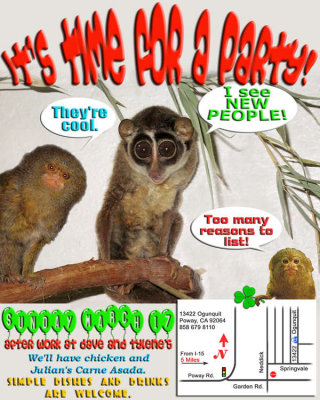 Flyer4.jpg
