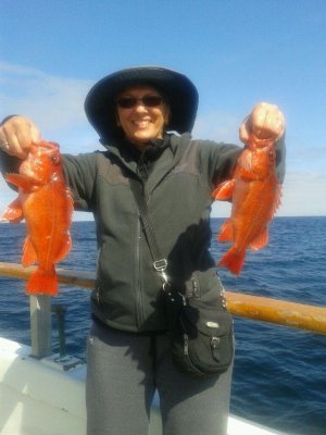 2013040295101644.jpg