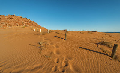 Footprints in the Dunes D80_0240s.jpg