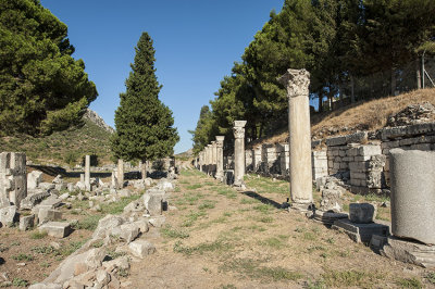 Ephesus Ruins_D7M4211s.jpg