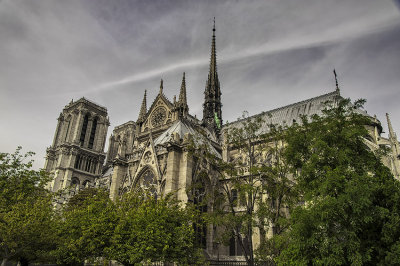 Notre Dame_D7M6569s.jpg