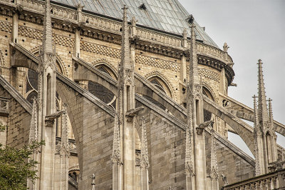 Notre Dame_D7M6563s.jpg