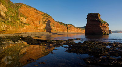 Ladram bay