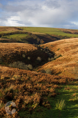 An Exmoor valley