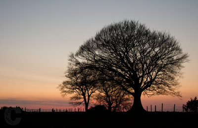 Sunset on Raddon