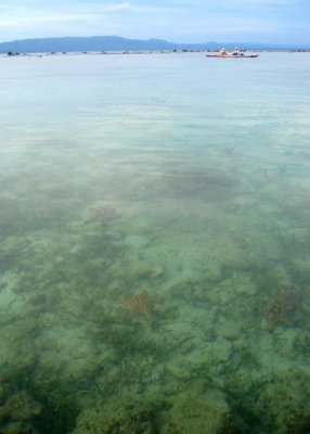 Panglao Island, Bohol