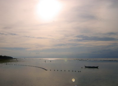 g2/47/658747/3/65814691.KIai6fOT.jpg