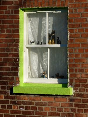 Cats in a green window