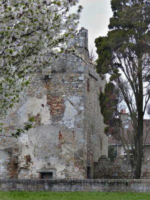 Spring blossoms come to the old castle