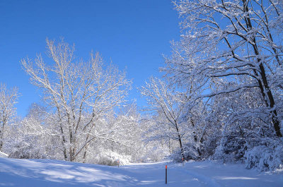 J is for Jack Frost