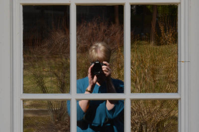 Self-Absorbed