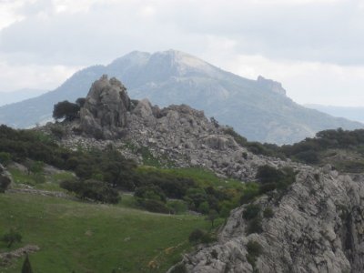 Parque Natural de la Sierra de Grazalema